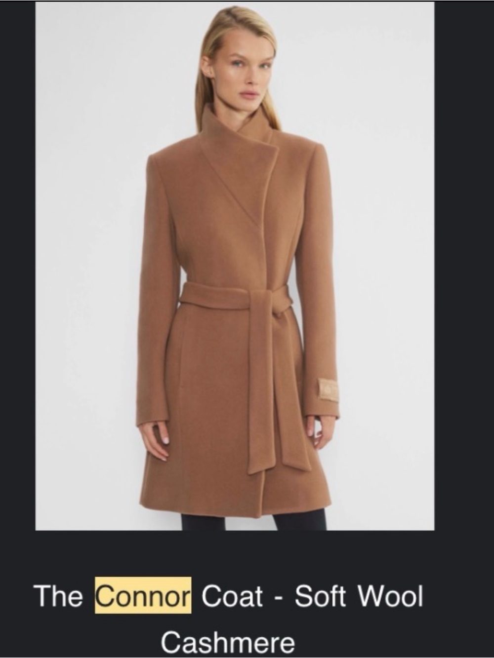 Aritzia The Connor Coat